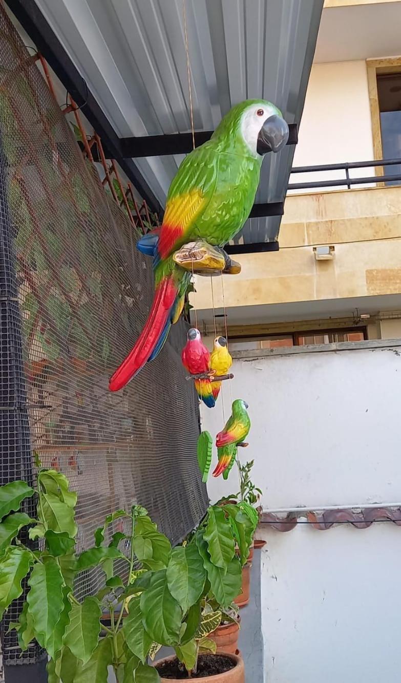 Cafe Hotel Boutique Kjtagua San Gil Dış mekan fotoğraf